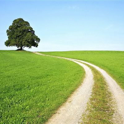 半岛平台官网入口