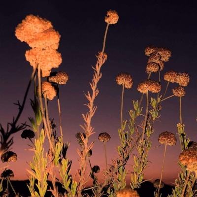 米乐下载地址截图